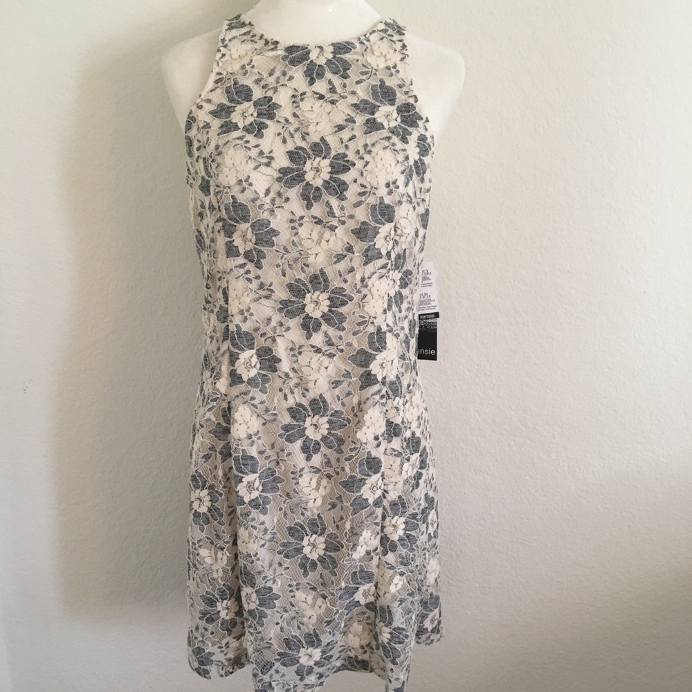 Kenzie Lacey Gray and Cream Dress